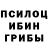 Псилоцибиновые грибы Magic Shrooms Elena Orel