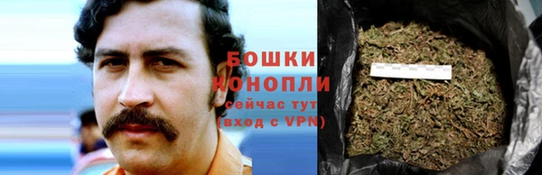 прущие крисы Нефтекумск