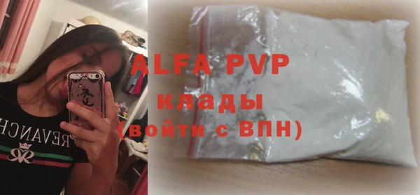 a pvp Новозыбков
