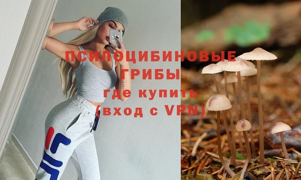 ГАЛЛЮЦИНОГЕННЫЕ ГРИБЫ Новодвинск