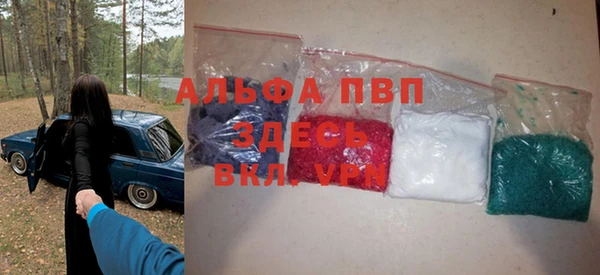 a pvp Новозыбков