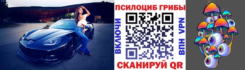 Галлюциногенные грибы Psilocybe  Одинцово 