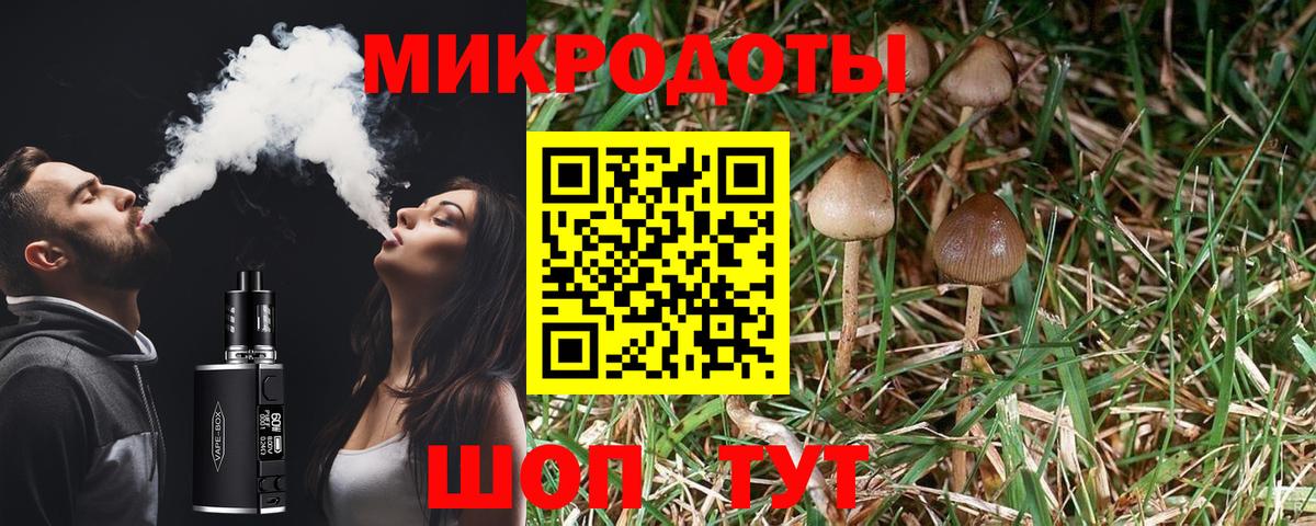 Одинцово  Галлюциногенные грибы Psilocybe  Псилоцибиновые грибы MAGIC MUSHROOMS  Вход с VPN 