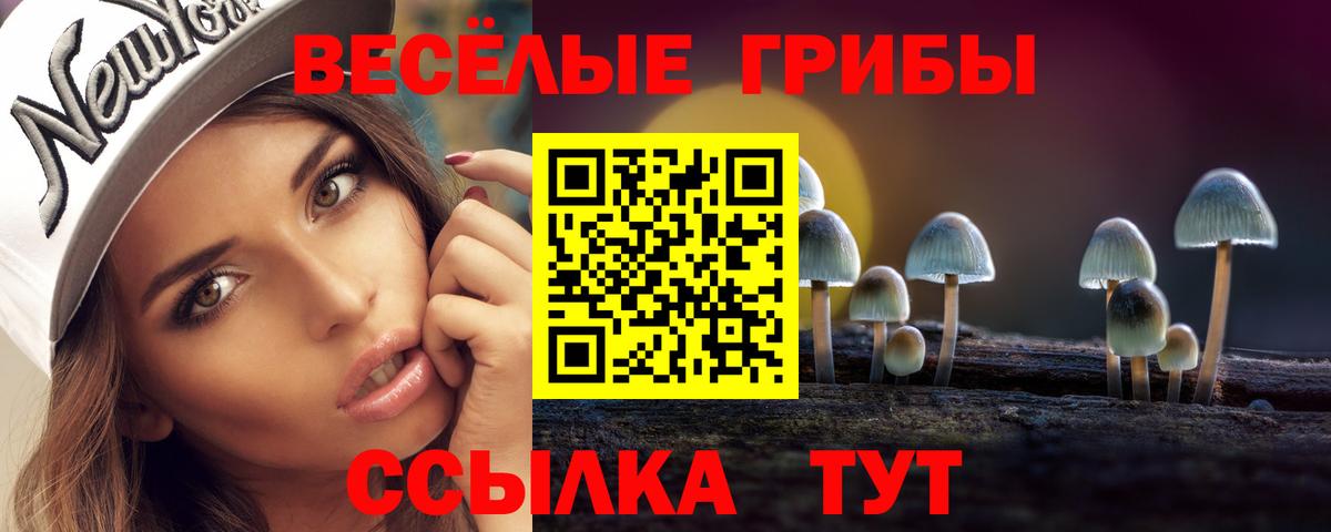 Галлюциногенные грибы Psilocybine cubensis Одинцово